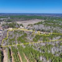 11.29 acre Residential - Recreational Land for Sale in Northampton County NC images 5