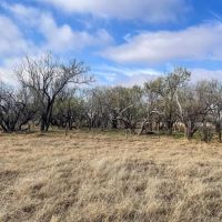 Buffalo Wallow Ranch images 2
