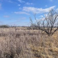 Buffalo Wallow Ranch images 4