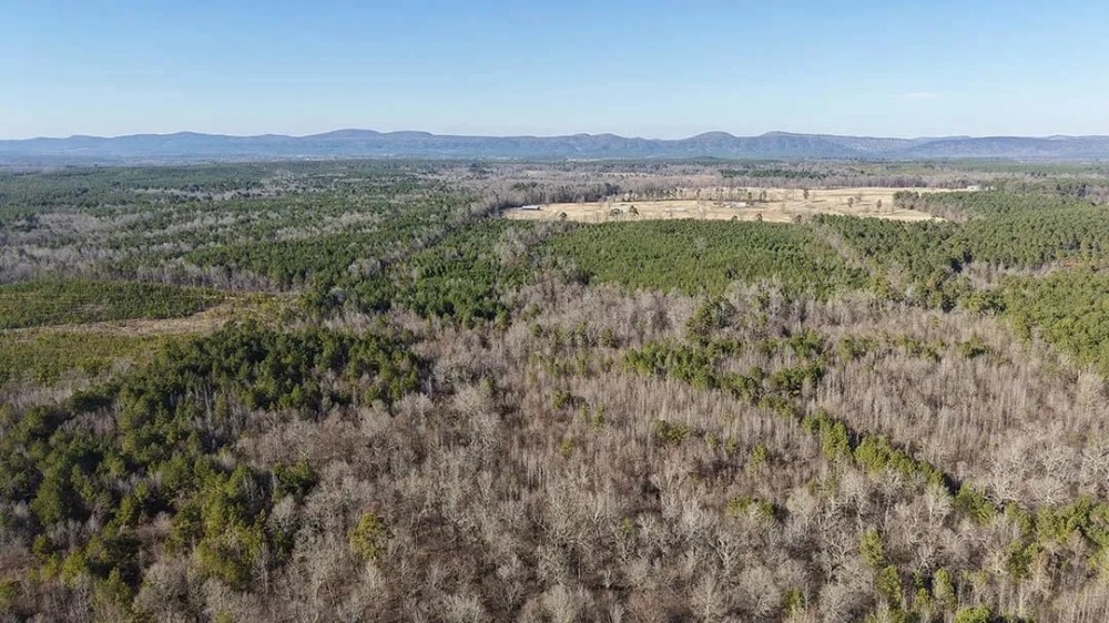 159 Acres in Howard County AR featured image
