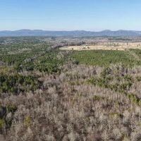 159 Acres in Howard County AR