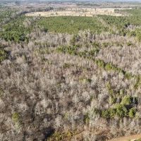 159 Acres in Howard County AR images 2