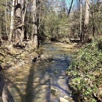 159 Acres in Howard County AR images 3