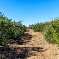 Keese Road images 3