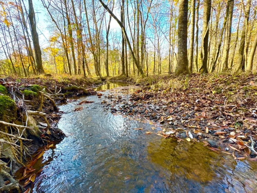 Gorgeous Wooded 9 Acre Homesite Opportunity in Wetumpka Lot 4 featured image
