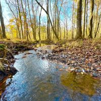 Gorgeous Wooded 9 Acre Homesite Opportunity in Wetumpka Lot 4