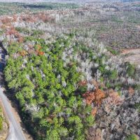 Gorgeous Wooded 9 Acre Homesite Opportunity in Wetumpka Lot 4 images 3