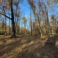 Gorgeous Wooded 9 Acre Homesite Opportunity in Wetumpka Lot 4 images 4