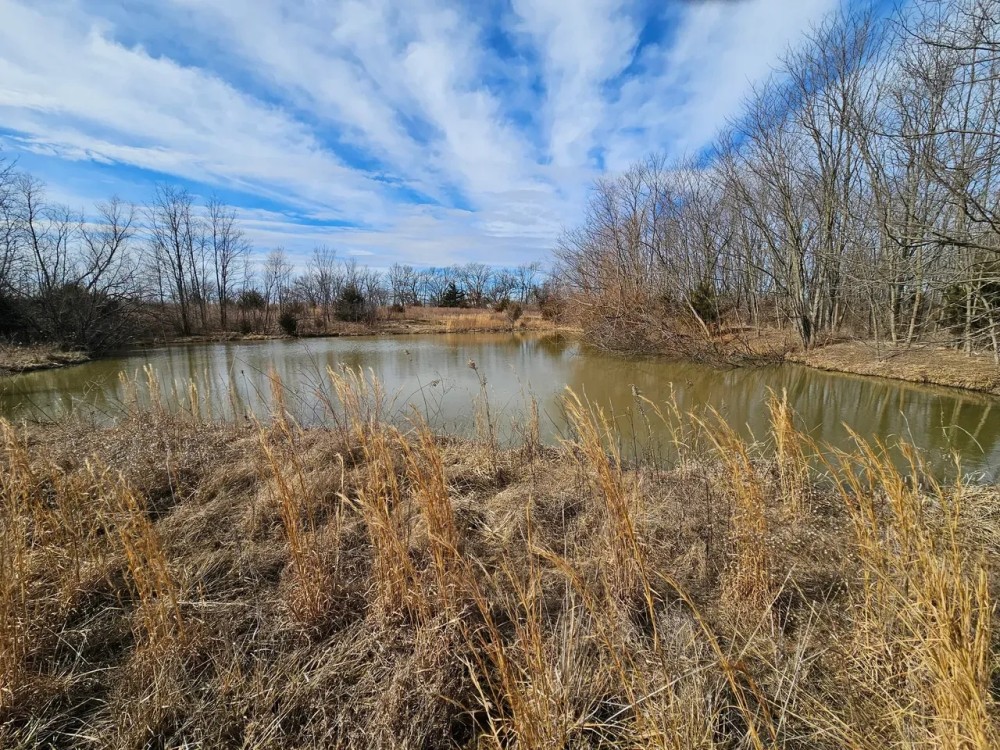 Ray County Building Acreage featured image
