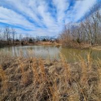 Ray County Building Acreage
