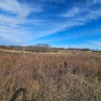 Ray County Building Acreage images 3