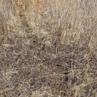 Ray County Building Acreage images 5