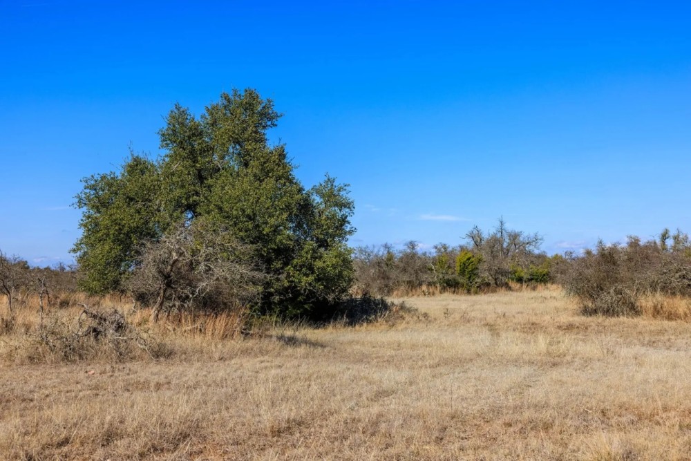 Pecan Creek Road featured image