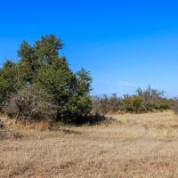 Pecan Creek Road