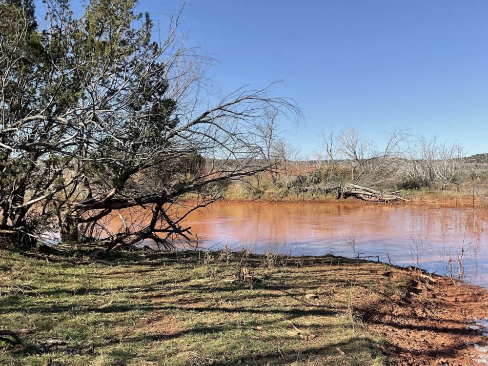 New Listing 141 Acres Taylor County featured image