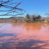 New Listing 141 Acres Taylor County images 2