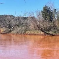 New Listing 141 Acres Taylor County images 3