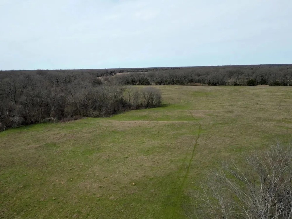174 Acres Hunting Recreation Ranch in Cumby TX featured image