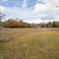 147.76 Acres in Milam County images 3