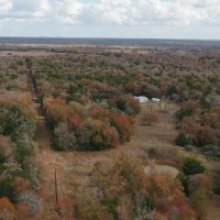 147.76 Acres in Milam County images 4