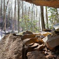 Heaven on Earth images 2