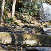 Heaven on Earth images 3