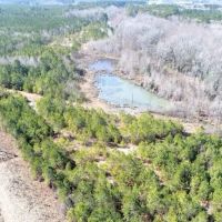 45 acres of Recreational Hunting Land for Sale in Edgecombe County NC images 2