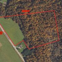 32 acres Hunting Land and Recreational Land with Building Lot in Ripley NY Post Road images 2