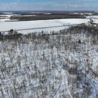 32 acres Hunting Land and Recreational Land with Building Lot in Ripley NY Post Road images 5