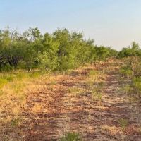 Back on the Market 140 - Acres Jones County images 4