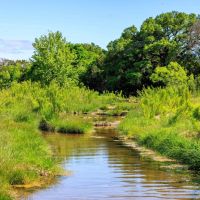2937 Langes Mill Road - 310 Acres images 2