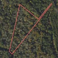 5.38 Acres of Creekfront Hunting and Recreational Land For Sale in Pitt County NC