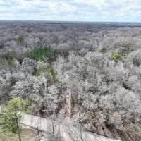 5.38 Acres of Creekfront Hunting and Recreational Land For Sale in Pitt County NC images 2