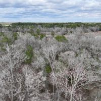5.38 Acres of Creekfront Hunting and Recreational Land For Sale in Pitt County NC images 4