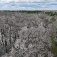 5.38 Acres of Creekfront Hunting and Recreational Land For Sale in Pitt County NC images 5