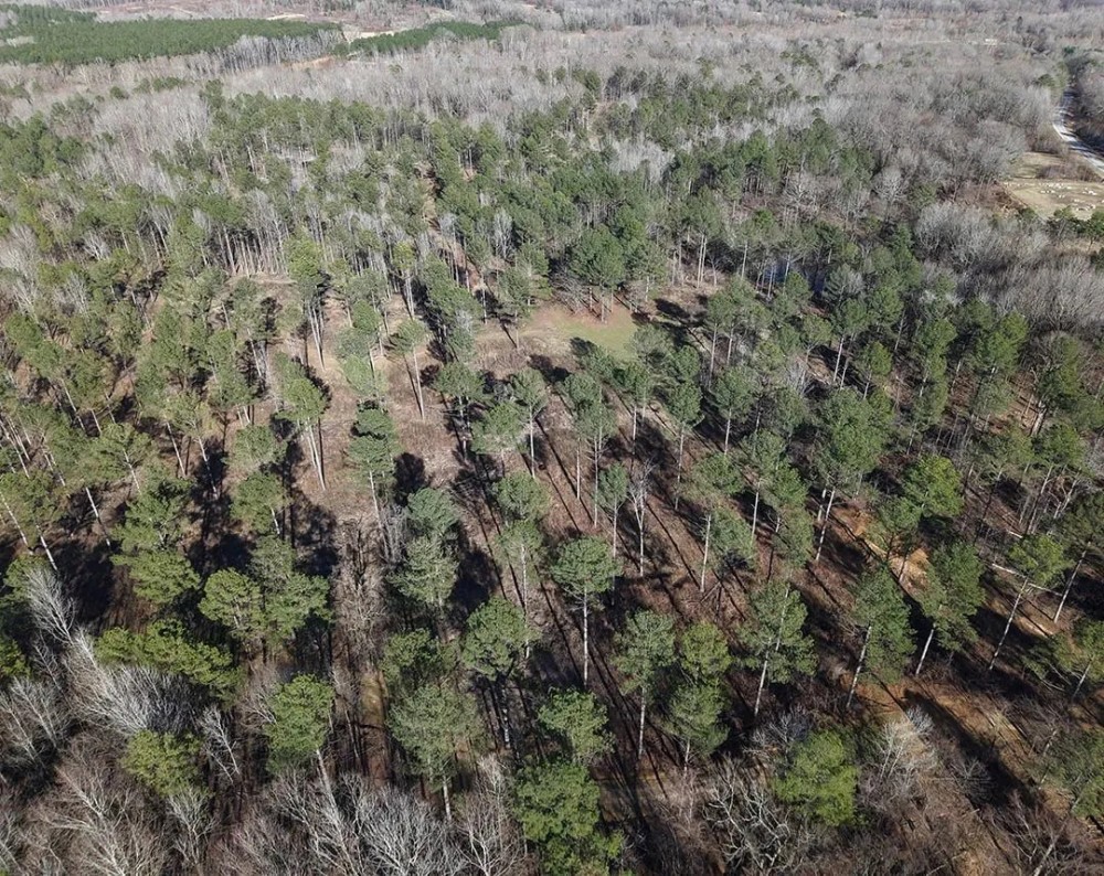 308 Acres in Tallahatchie County MS featured image