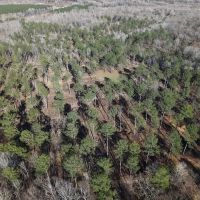 308 Acres in Tallahatchie County MS
