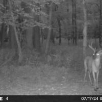 308 Acres in Tallahatchie County MS images 5
