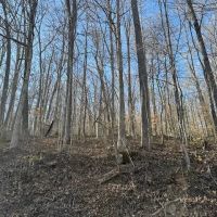 Lot 366A Wilder Rd images 3