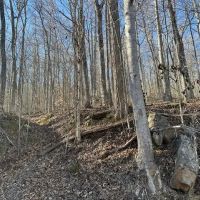 Lot 366A Wilder Rd images 4