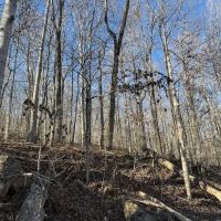 Lot 366A Wilder Rd images 5