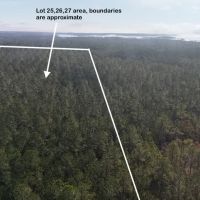 Waterfront Property for Sale Hyde County NC images 4