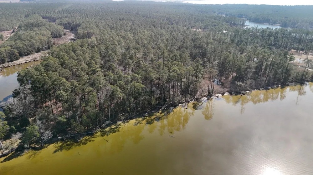 Waterfront Property for Sale Hyde County NC featured image