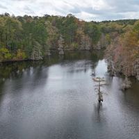 LA - Caldwell 365 acres - images 2