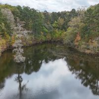 LA - Caldwell 365 acres - images 4
