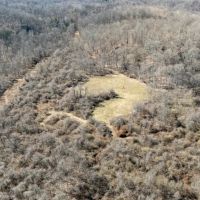 Woodyard Union Rd - 62 acres - Morgan County images 4