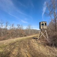Woodyard Union Rd - 62 acres - Morgan County images 5