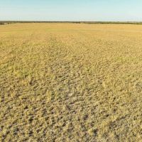 277 Acres in Baylor County images 2
