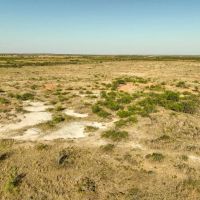 277 Acres in Baylor County images 4