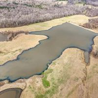105 Acres With a Cabin in Claiborne County MS images 4